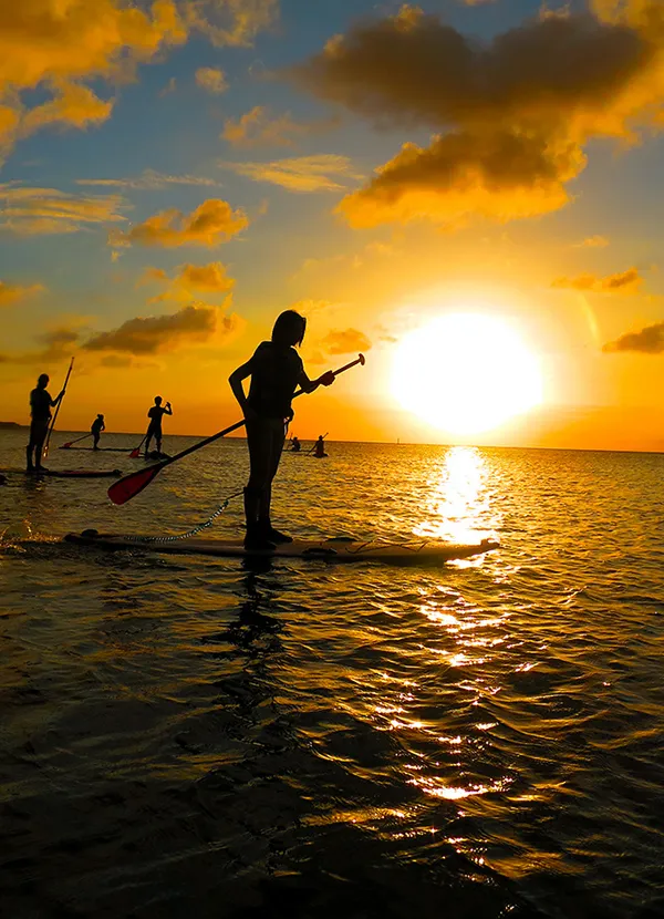 サンセットサップ | 沖縄専門のアクティビティ（遊び・体験）予約